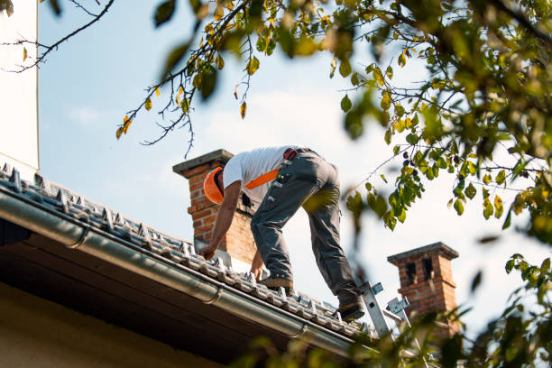 Best New Roof Installation  in Marshall, WI