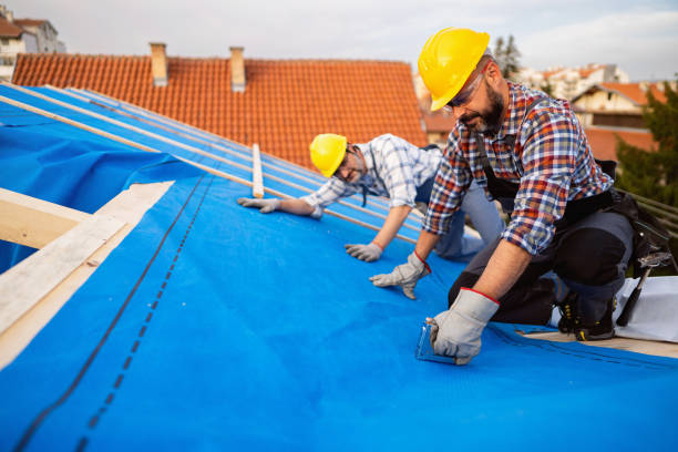 Best Residential Roofing Contractor  in Marshall, WI