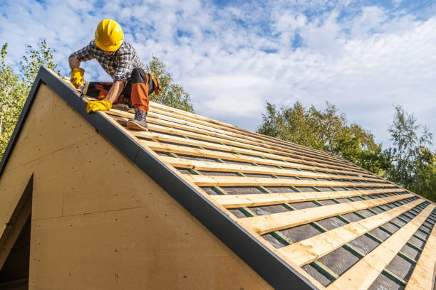 Best Local Roofing Companies  in Marshall, WI