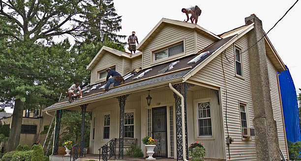 Best Tile Roofing Contractor  in Marshall, WI